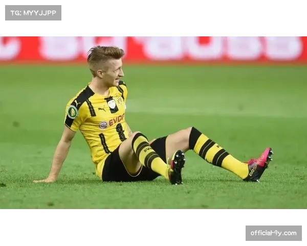 告别巡礼：罗伊斯确认赛季末离队，多特主场为其举办致敬仪式